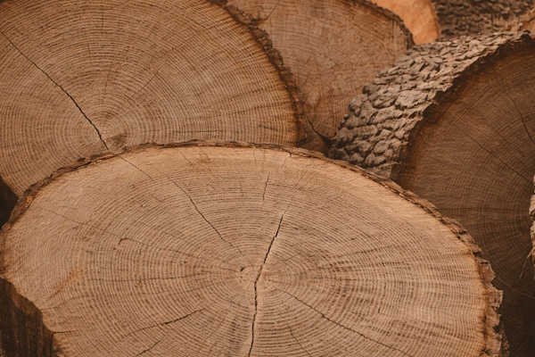 Log Cutting and Skidding